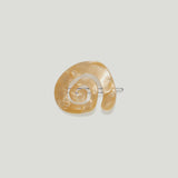 Kitty Paloma Swirl Tige Boule - Abalone